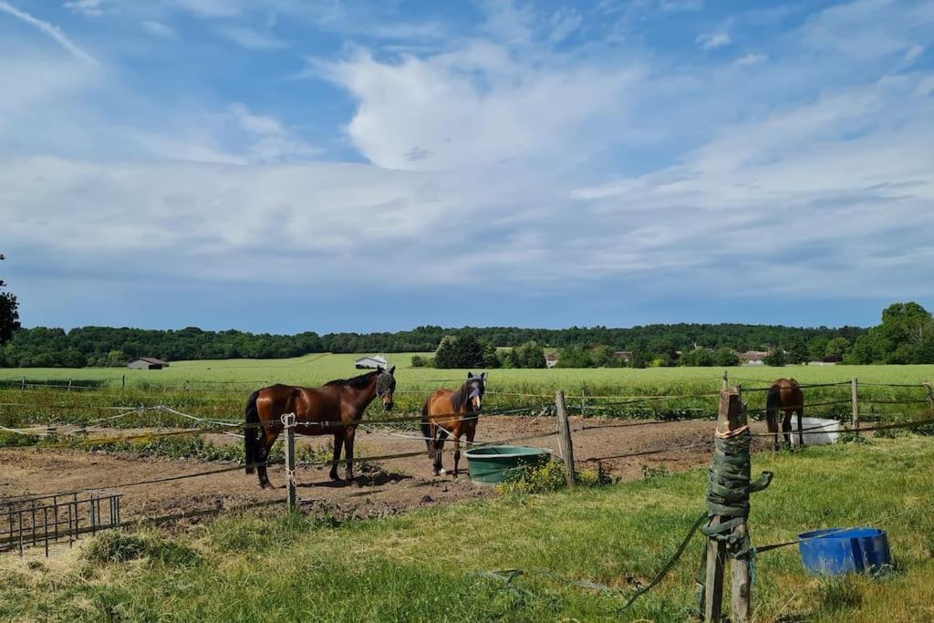 Belle Suite Dans Corps De Ferme - Logement Alicia Villiers-sous-Grez Экстерьер фото