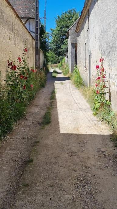 Belle Suite Dans Corps De Ferme - Logement Alicia Villiers-sous-Grez Экстерьер фото